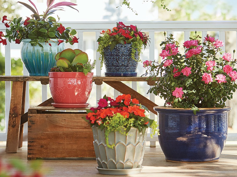 Choosing Flower Pots For Your Garden