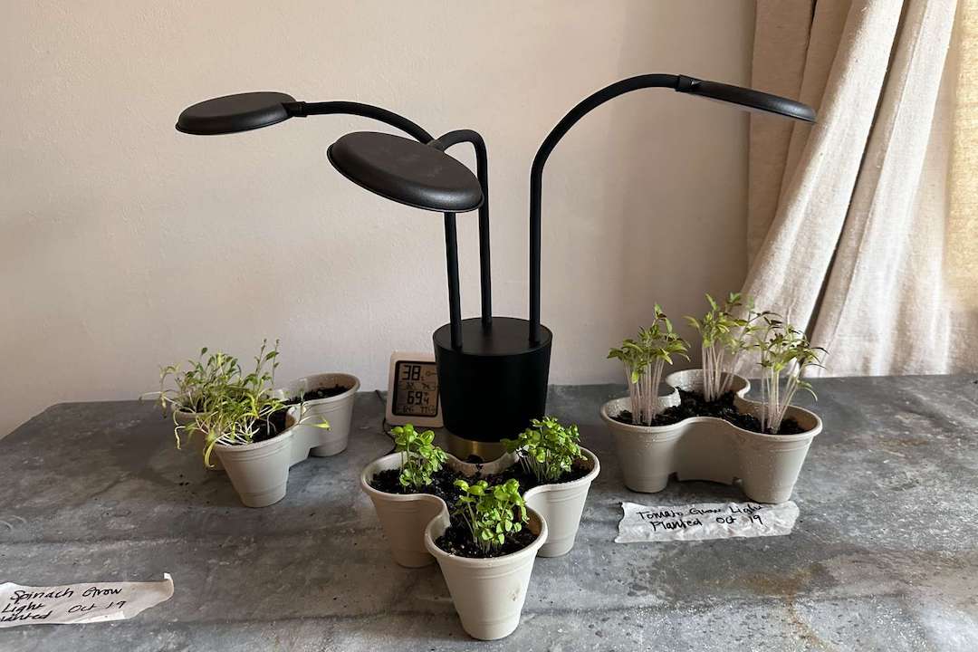 Indoor Greenery: Enhance Growth with Plant Growth Lamp
